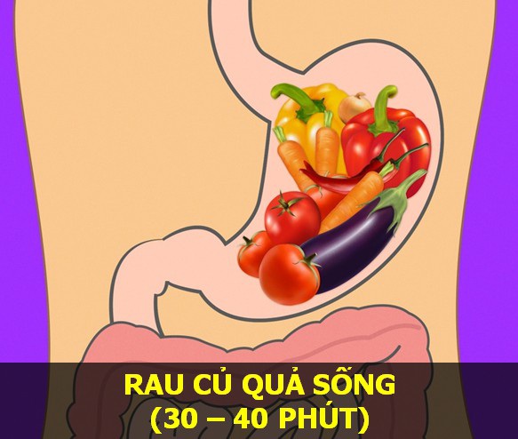 Rau củ tươi - Thời gian tiêu hóa: 30–40 phút