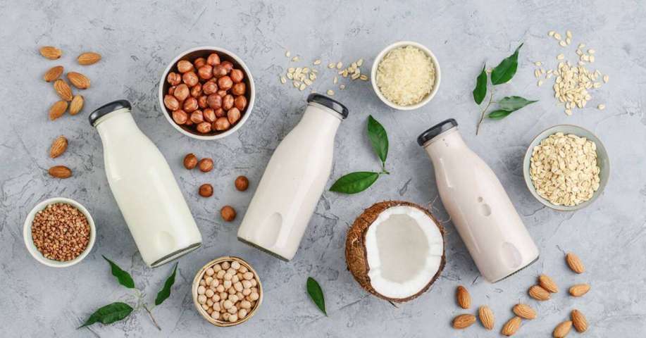 Sữa hạt – Thay thế sữa bò dễ gây trào ngược