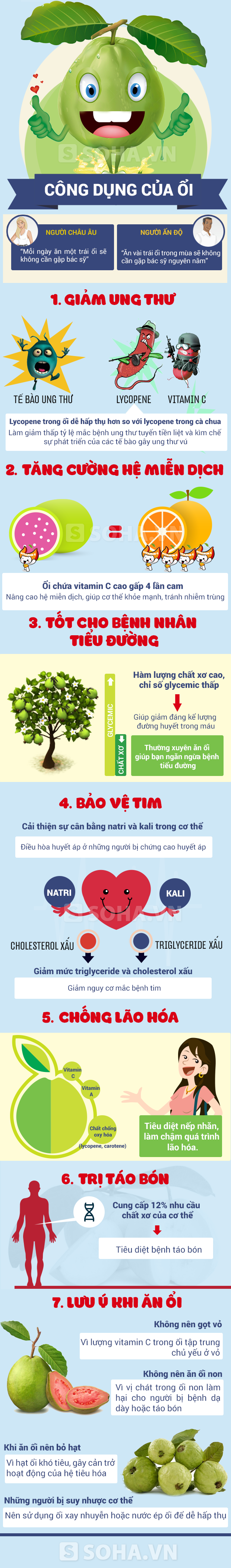 Tác dụng của ổi