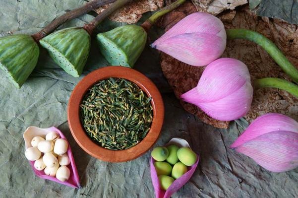 Tâm sen có vị đắng, tính lạnh, giúp an thần, trấn tĩnh, cải thiện chất lượng giấc ngủ.