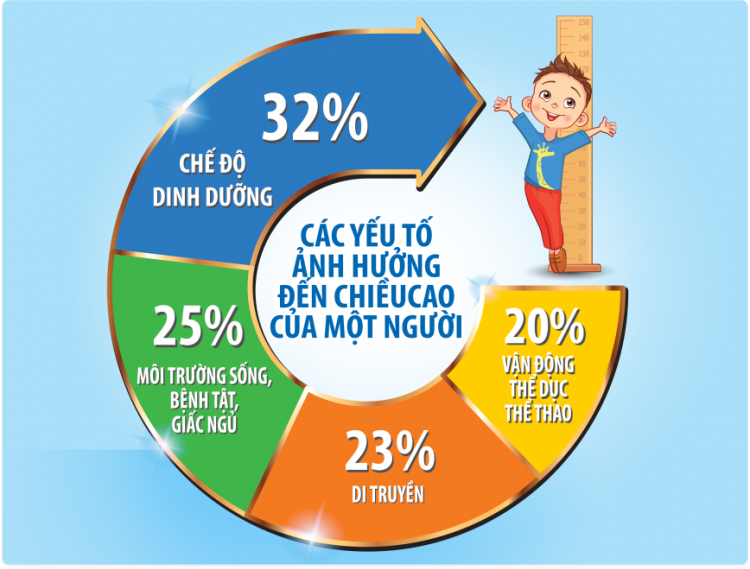 Có rất nhiều yếu tố quyết định chiều cao như: di truyền (23%), dinh dưỡng (32%), sự rèn luyện thân thể (20%), yếu tố môi trường xã hội, bệnh tật, giấc ngủ,..