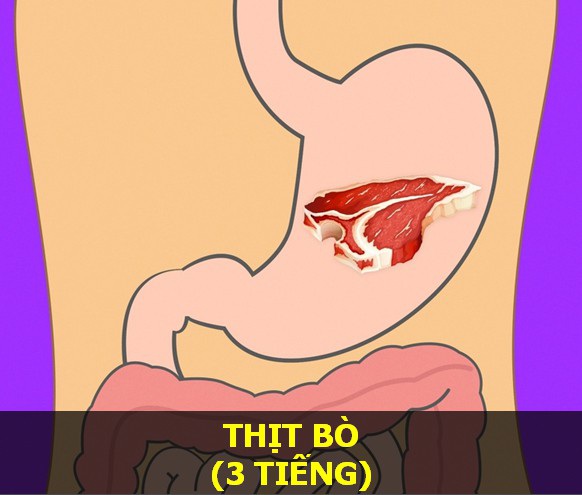 Thịt bò - Thời gian tiêu hóa: 3 giờ