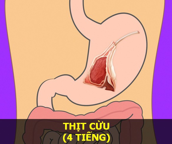 Thịt cừu - Thời gian tiêu hóa: 4 tiếng