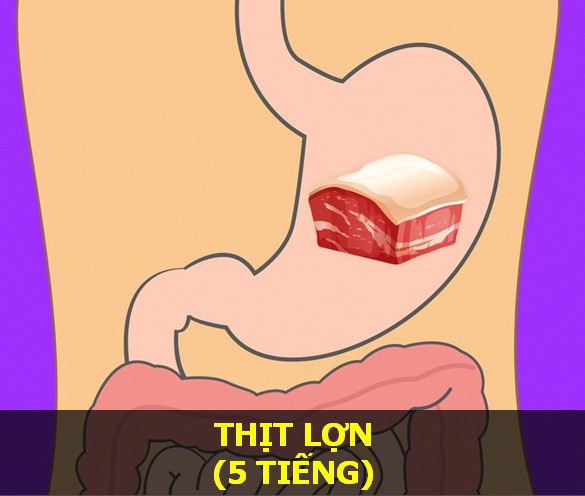 Thịt heo - Thời gian tiêu hóa: lên đến 5 giờ