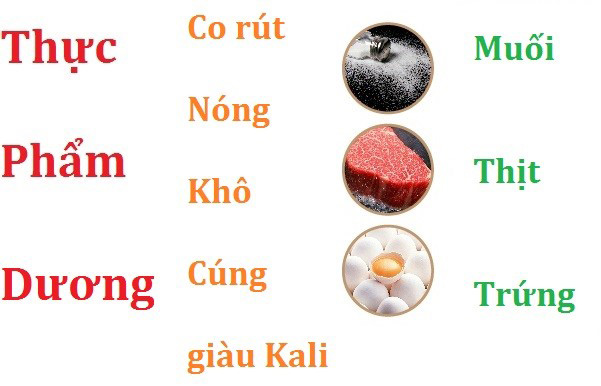 Thực phẩm dương tốt cho những người kinh niên thiếu năng lượng