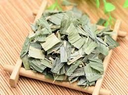 Trúc Diệp - Công năng và chủ trị