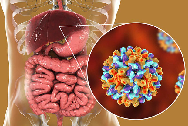 Di truyền ung thư gan trong gia đình có liên quan mật thiết đến sự lây truyền virus viêm gan B theo chiều dọc