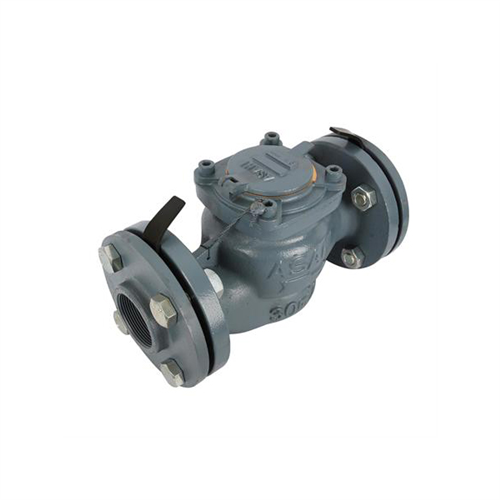 Đồng hồ đo nước thái lan loại mặt bích Asahi WVM50 phi 60