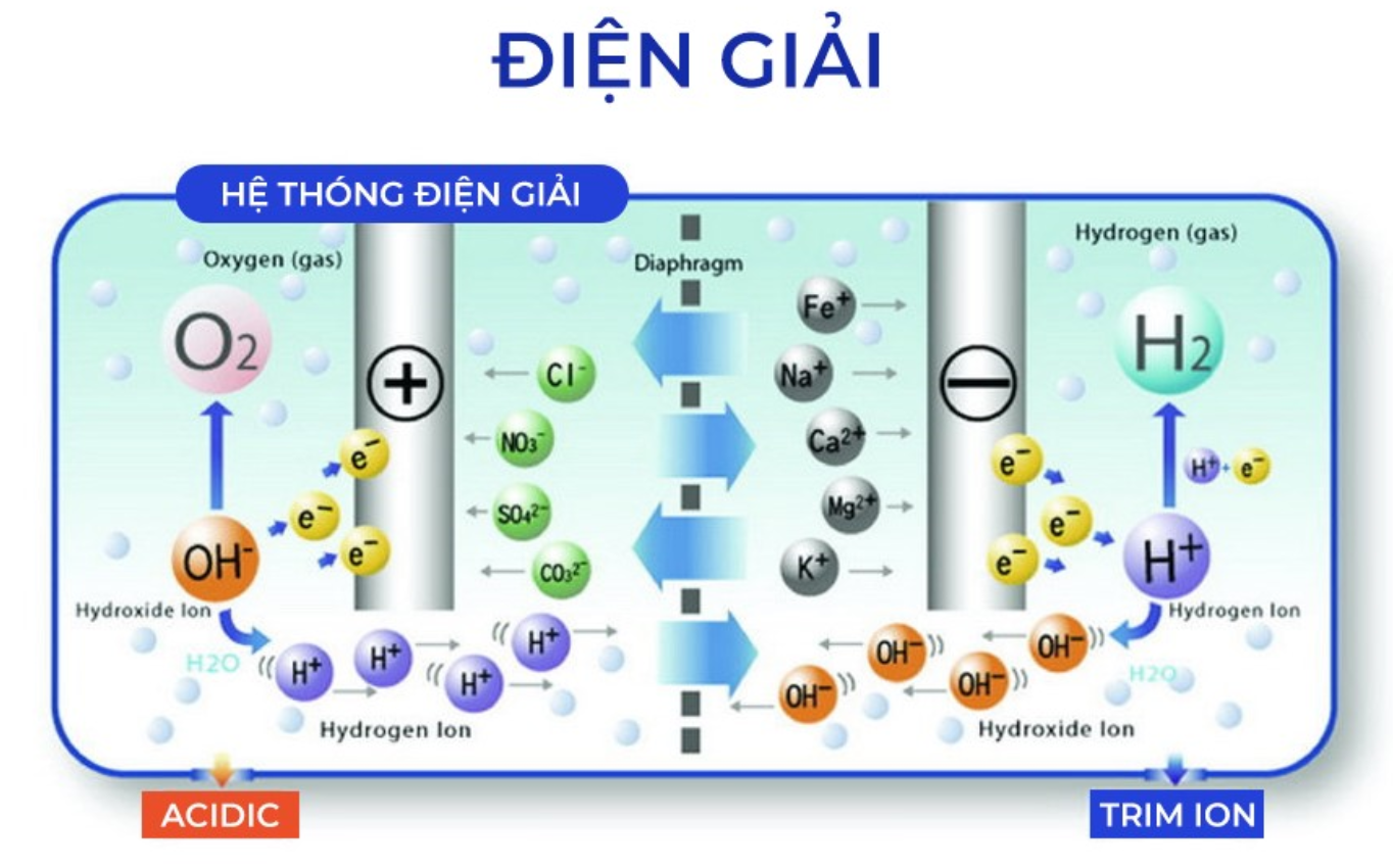 Công nghệ nước uống Việt Nam đang đi sau thế giới hơn nửa thế kỷ