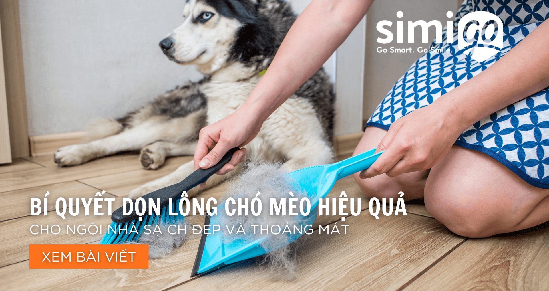 Cách Dọn Lông Chó Mèo Hiệu Quả-Cho Ngôi Nhà Sạch Đẹp Và Thoáng Mát