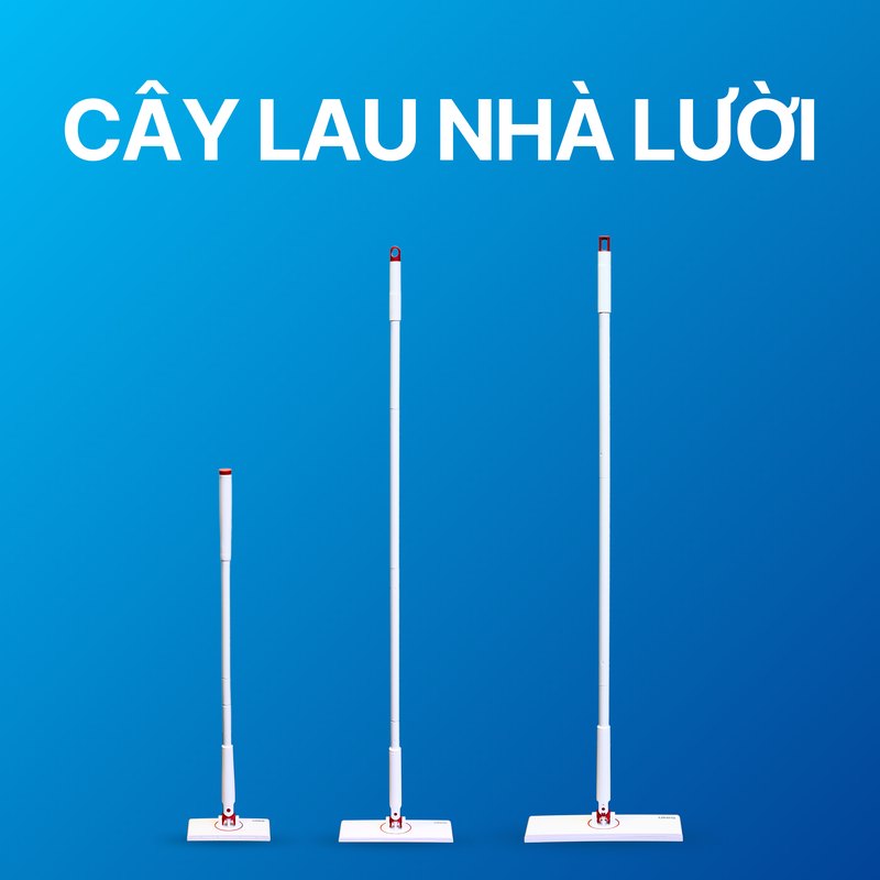 Cây lau nhà