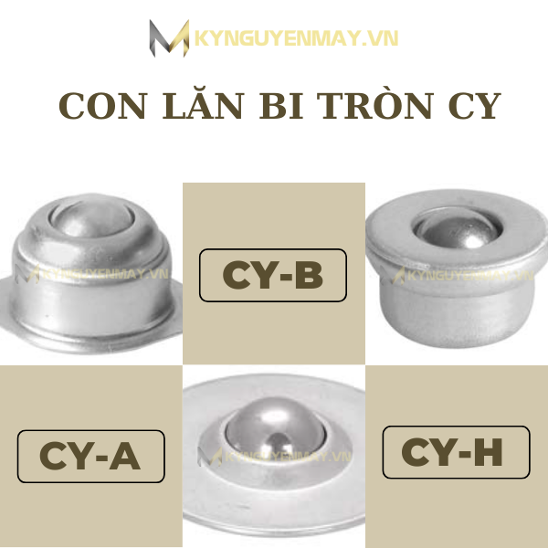 con lăn bi cầu cy