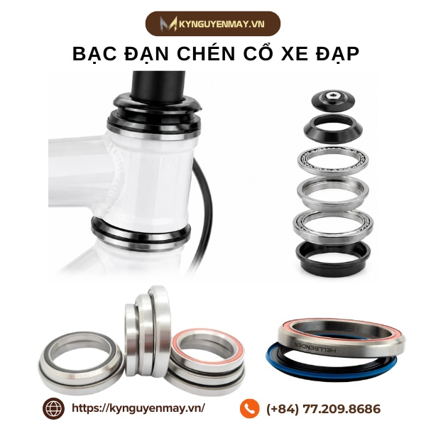 Bạc đạn chén cổ xe đạp