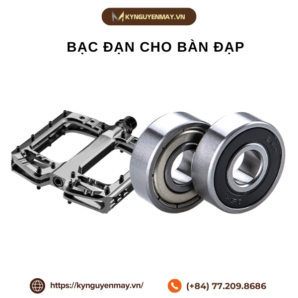 Bạc đạn bàn đạp xe đạp