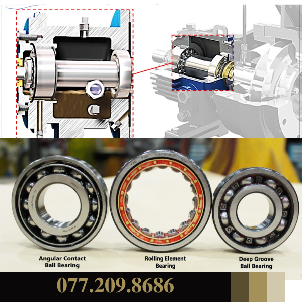 Bạc đạn máy bơm nước (vòng bi máy bơm)