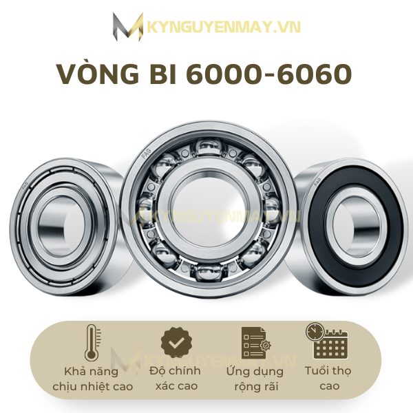 Bạc Đạn Nachi 6000