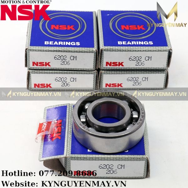 Bạc đạn NSK 6202