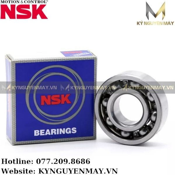 Bạc đạn NSK 6300