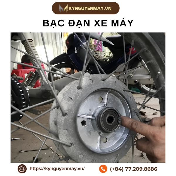 Bạc đạn xe máy