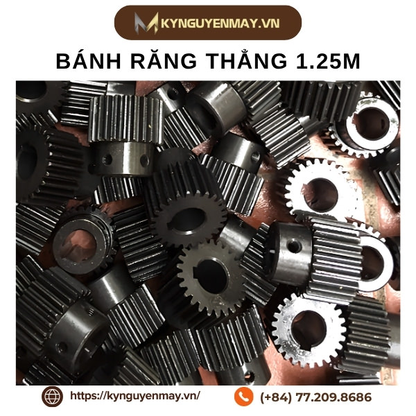 Bánh răng thẳng 1.25M