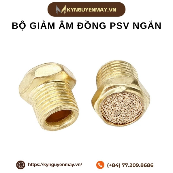 Bộ giảm âm đồng PSV ngắn