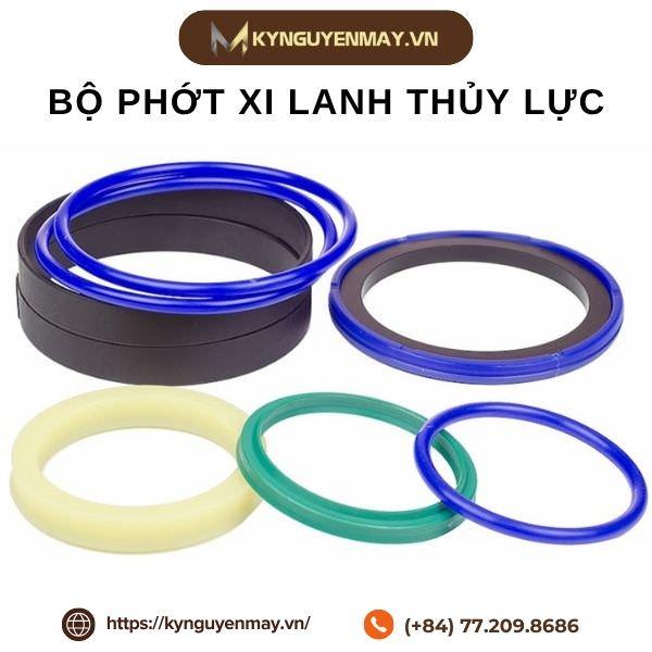 Bộ phớt xi lanh thủy lực
