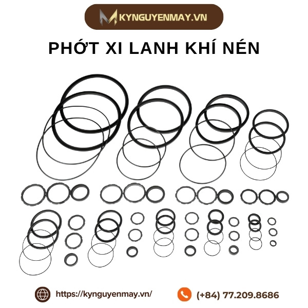 Các loại phớt xi lanh khí nén