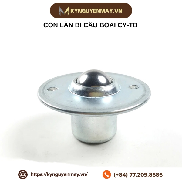 Con lăn bi cầu BOAI CY-TB
