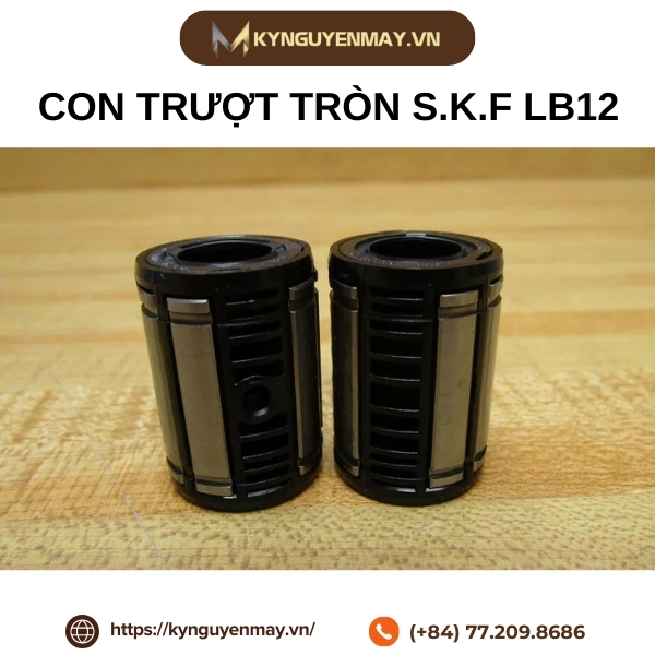 Con trượt tròn S.K.F LB12