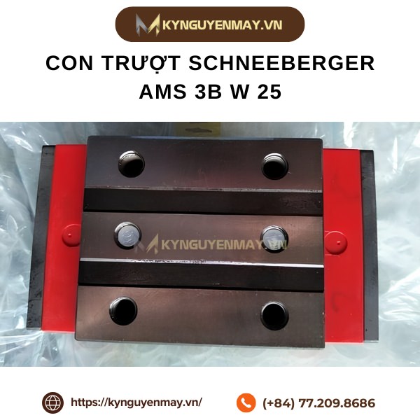 Con trượt SCHNEEBERGER AMS 3B W 25