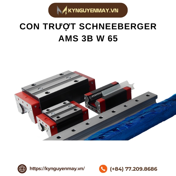 Con trượt SCHNEEBERGER AMS 3B W 65