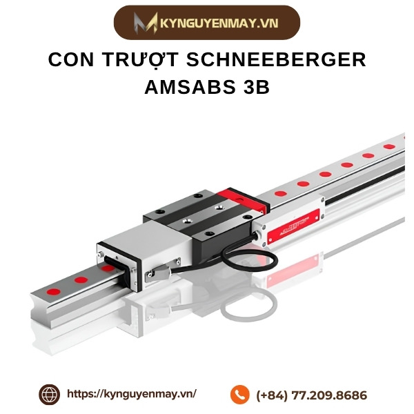 Con trượt SCHNEEBERGER AMSABS 3B