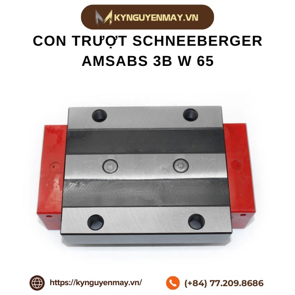 Con trượt SCHNEEBERGER AMSABS 3B W 65