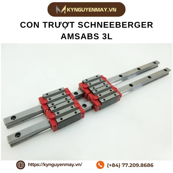 Con trượt SCHNEEBERGER AMSABS 3L