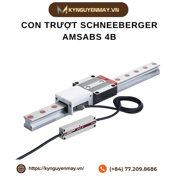 Con trượt SCHNEEBERGER AMSABS 4B