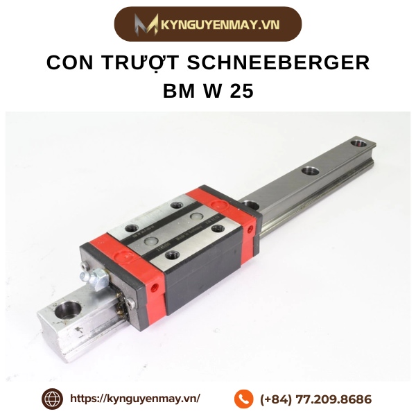 Con trượt SCHNEEBERGER BM W 25