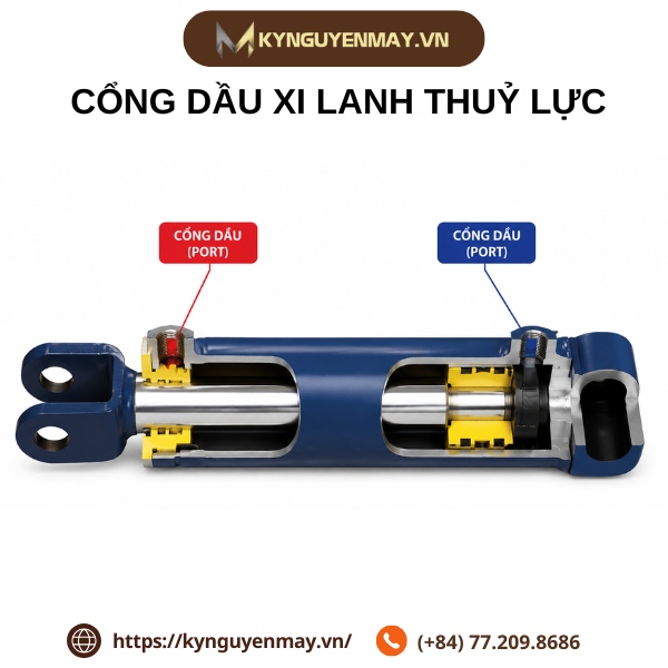 Cổng dầu xi lanh thuỷ lực
