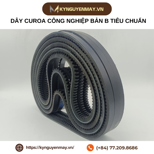 Dây Curoa công nghiệp bản B tiêu chuẩn