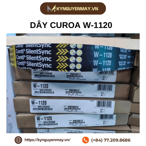 Dây curoa W-1120
