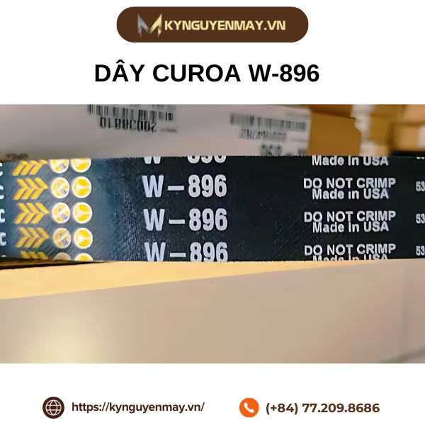  Dây curoa Contitech W-896