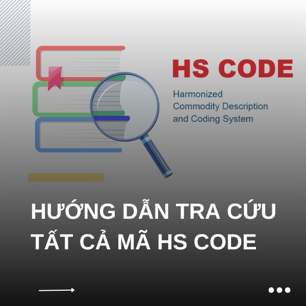 Hướng dẫn tra cứu tất cả mã HS Code