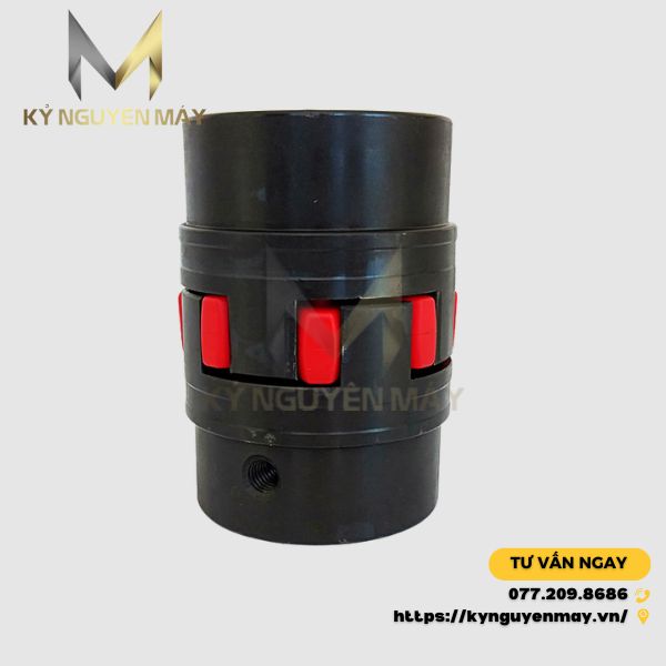 Khớp nối DFS