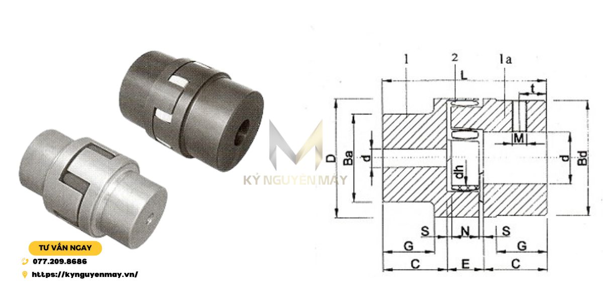 khớp nối dfs