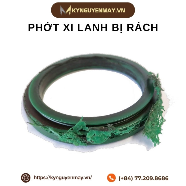 Ảnh phớt xi lanh bị rách