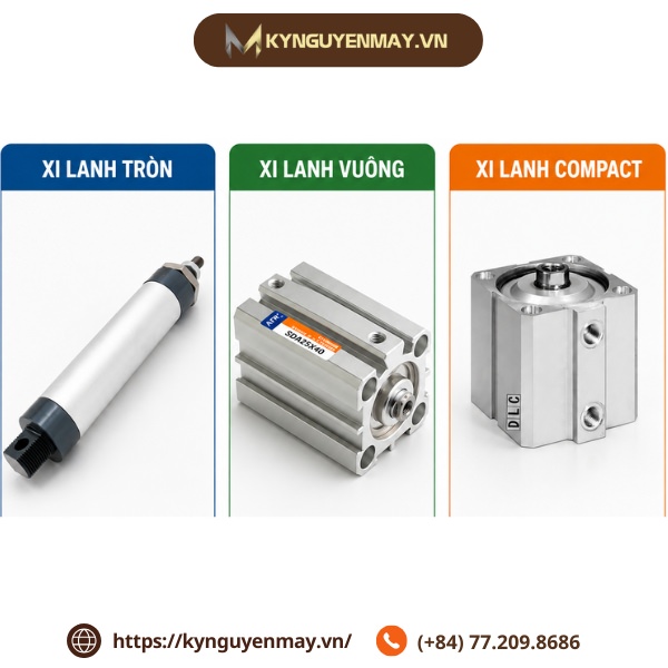 Phân loại theo hình dáng và kết cấu thân