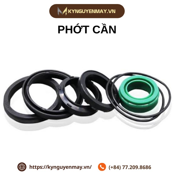 Phớt cần