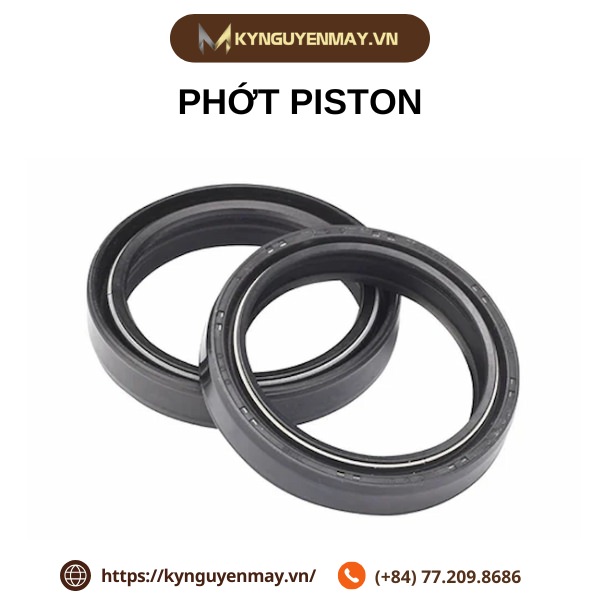 Phớt piston