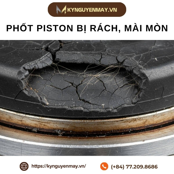 Ảnh phớt piston bị rách, bào mòn
