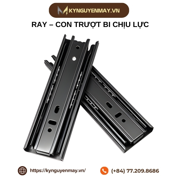 Ray-con trượt bi chịu lực