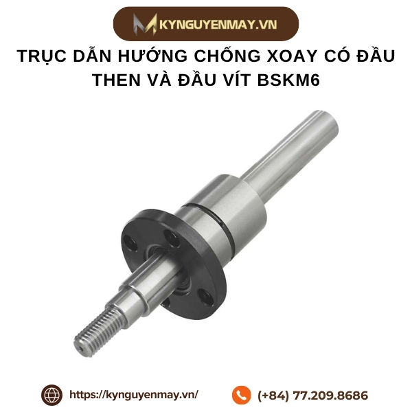 Trục dẫn hướng chống xoay có đầu then và đầu vít BSKM6